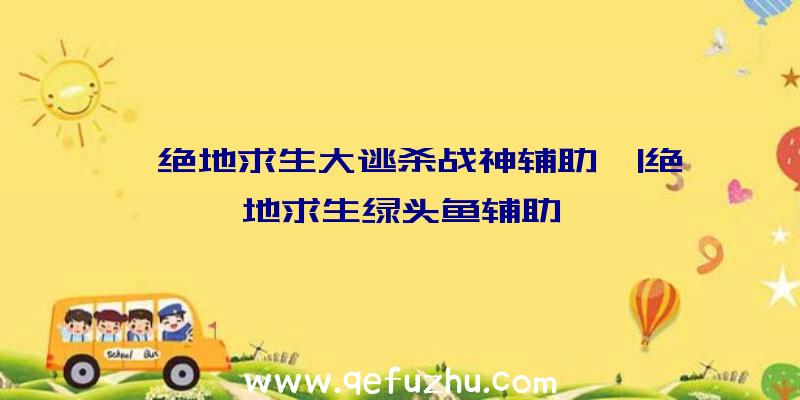 「绝地求生大逃杀战神辅助」|绝地求生绿头鱼辅助